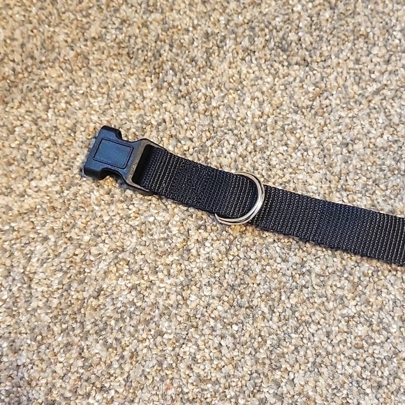 Black Dog Collar- Medium - Picture 3 of 4